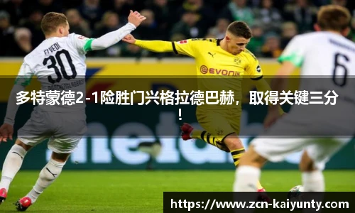 开云体育官网