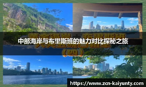 开云体育官网