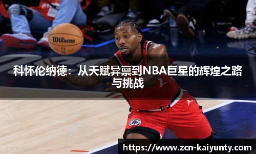 开云体育官网平台