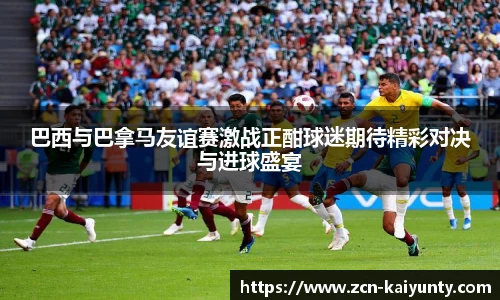 开云体育官网